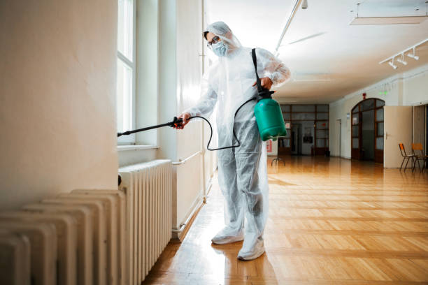 Best Pest Prevention Services  in Stickney, IL